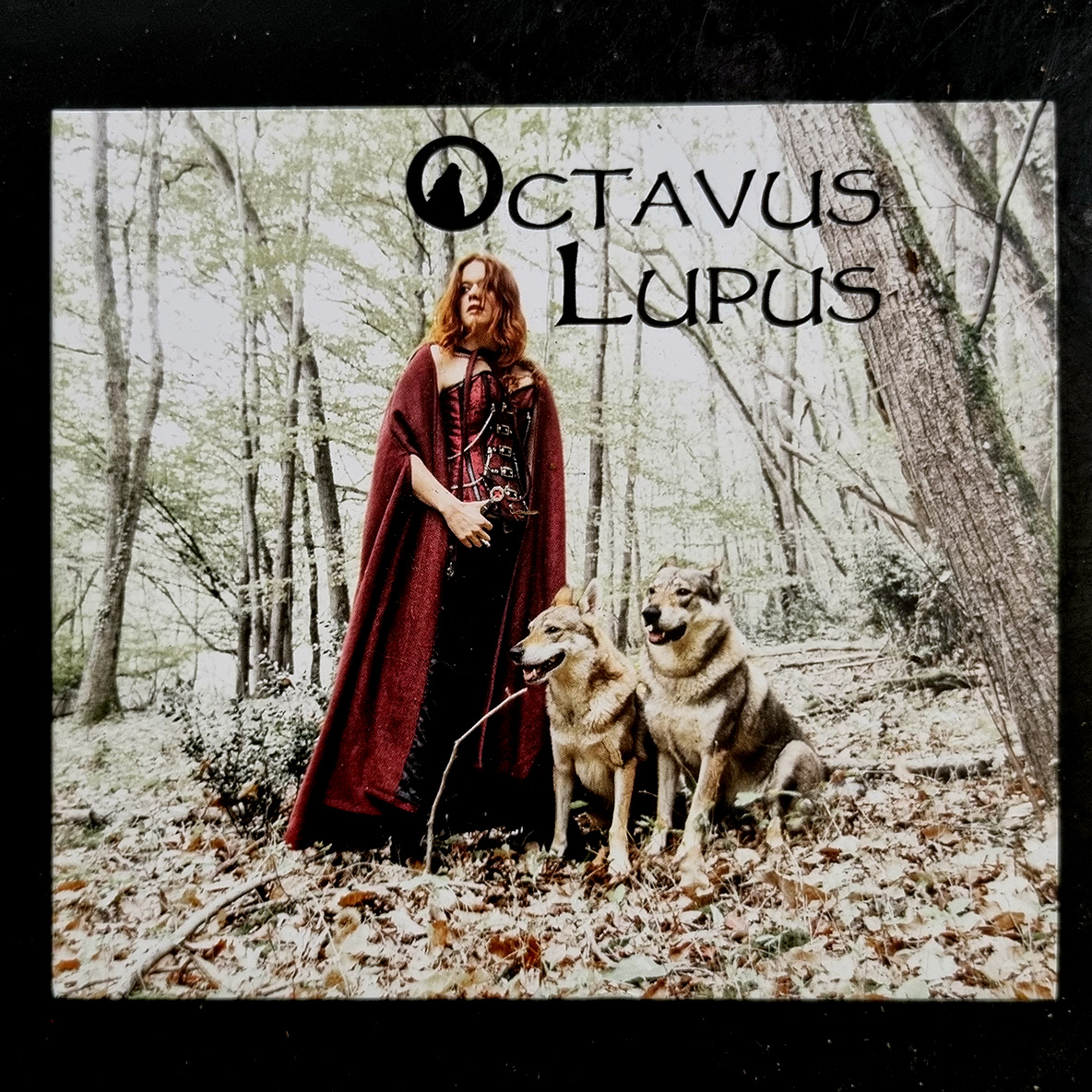 Photo de CD Octavus Lupus nb 1